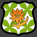 Sunshine flowers