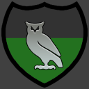 Wise Owls