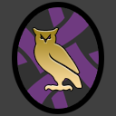 Nocturnal Owl