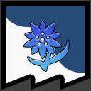 Eternal Flowers