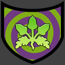 Derb Team 6