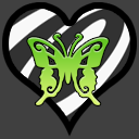 Butterfly Flagments