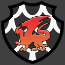 Dungeon Dragons