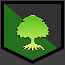 Maple Tree
