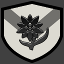 Chaos Raiders