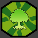 The Kokiri Forest