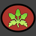 Star Fruit
